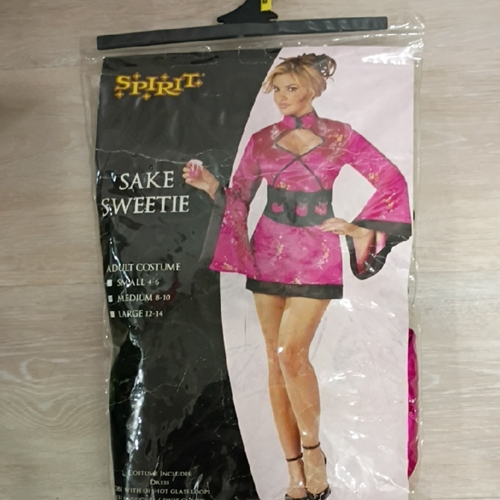 Spirit Pink and Black Costume